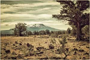 mt shasta 210527 6297
