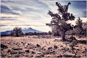 mt shasta 210527 6307